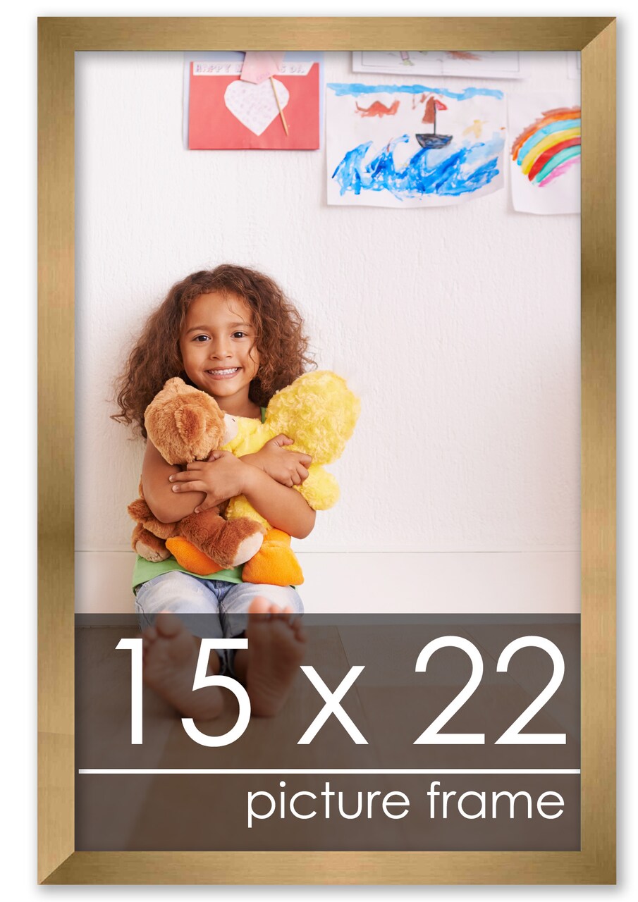 15x22 Solid Wood Picture Frame with UV-Resistant Acrylic & Acid-Free Backing, Available in 6 Finishes: Matte Black, Matte White, Metallic Bronze, Silver, Natural Wood Grain & Mahogany